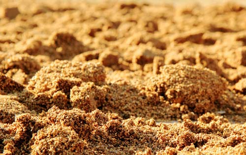 如何辨別飼料的真偽？